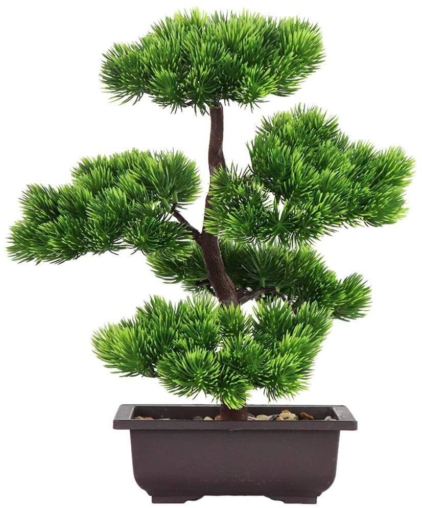 Bonsai Garden Pot - Japońska sosna bonsai do dekoracji wnętrz,