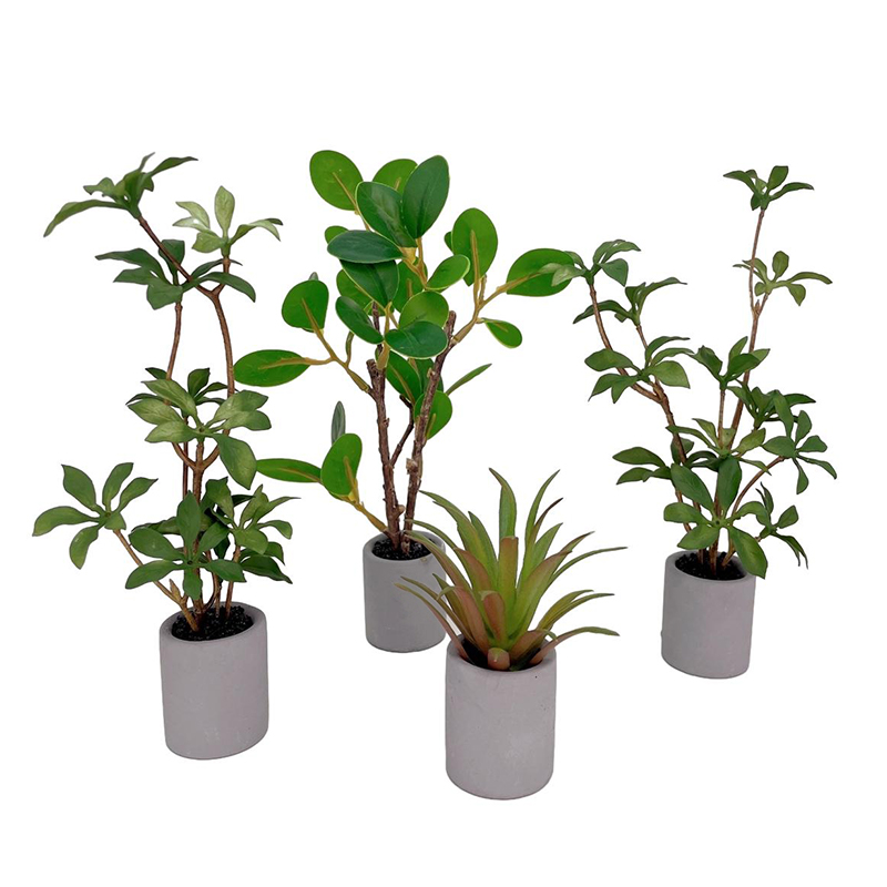 Bonsai Gardenia - 1:6 domek dla lalek miniaturowa roślina