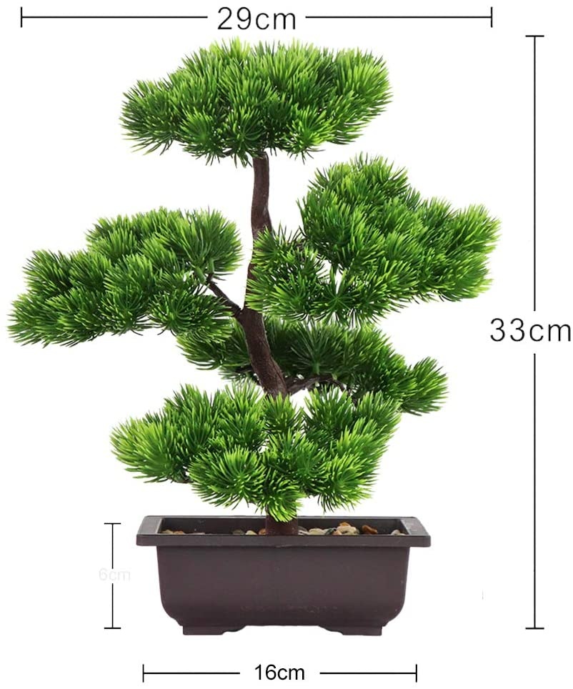 Japońska sosna bonsai do dekor – Bonsai Garden Pot recenzja i cena