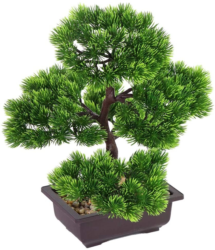 Japońska sosna bonsai do dekor – Bonsai Garden Pot recenzja i cena