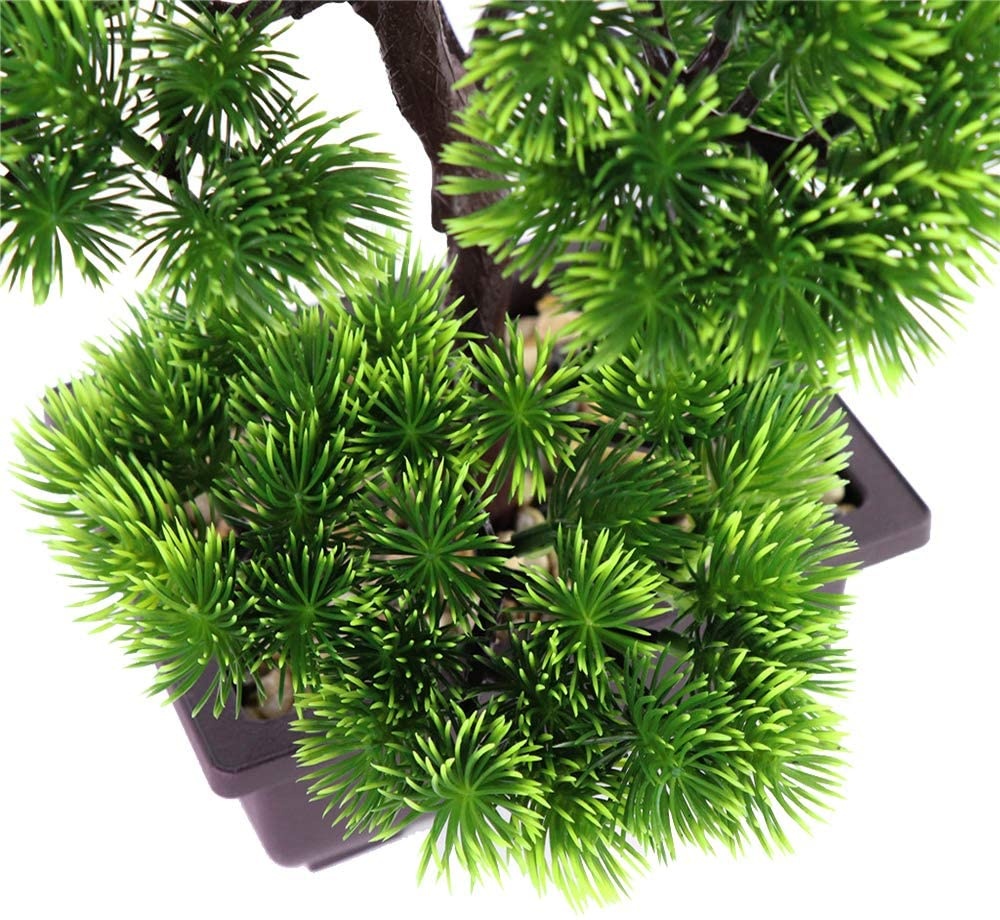 Japońska sosna bonsai do dekor – Bonsai Garden Pot recenzja i cena