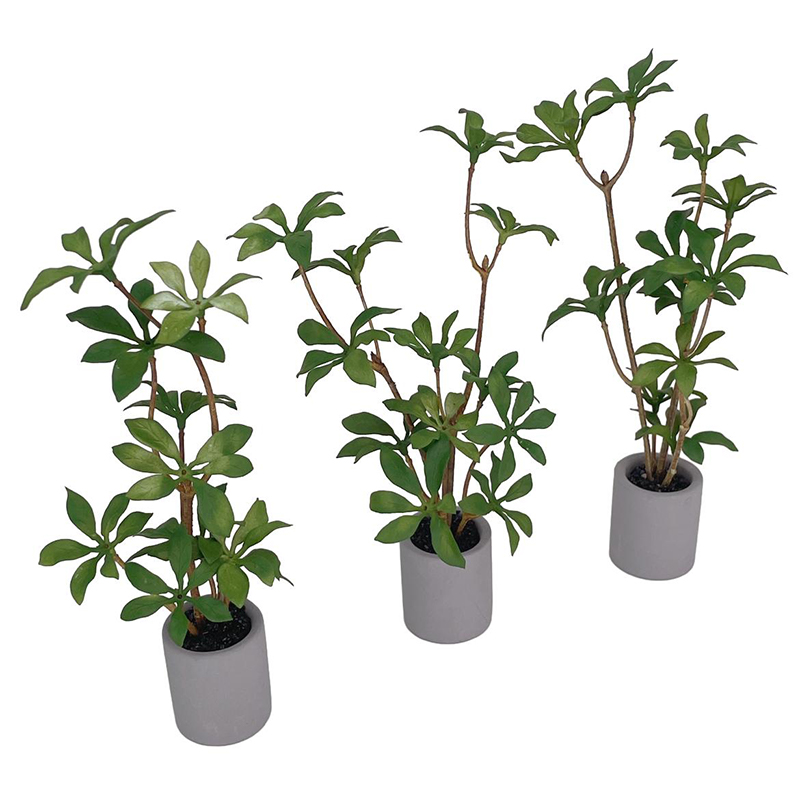 1:6 domek dla lalek miniaturow – Bonsai Gardenia recenzja i cena