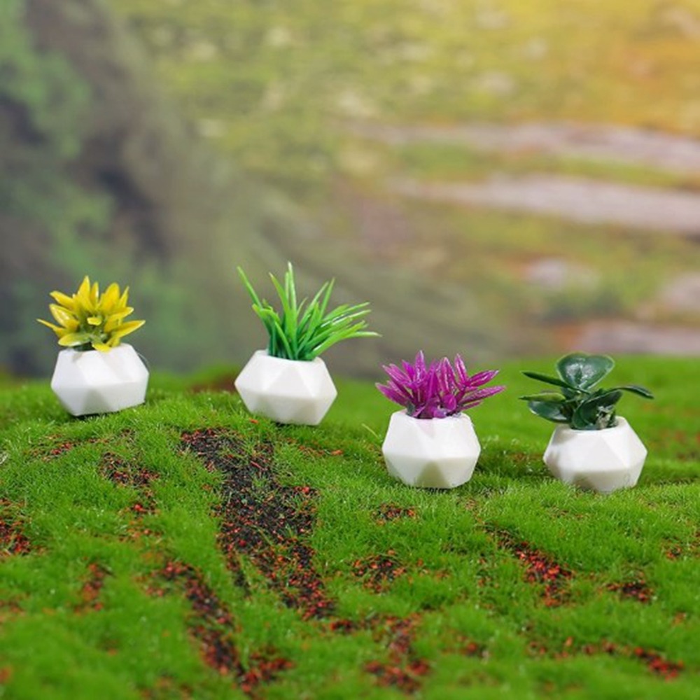 Miniaturowa doniczkowa roślina – Bonsai Garden Pot recenzja i cena