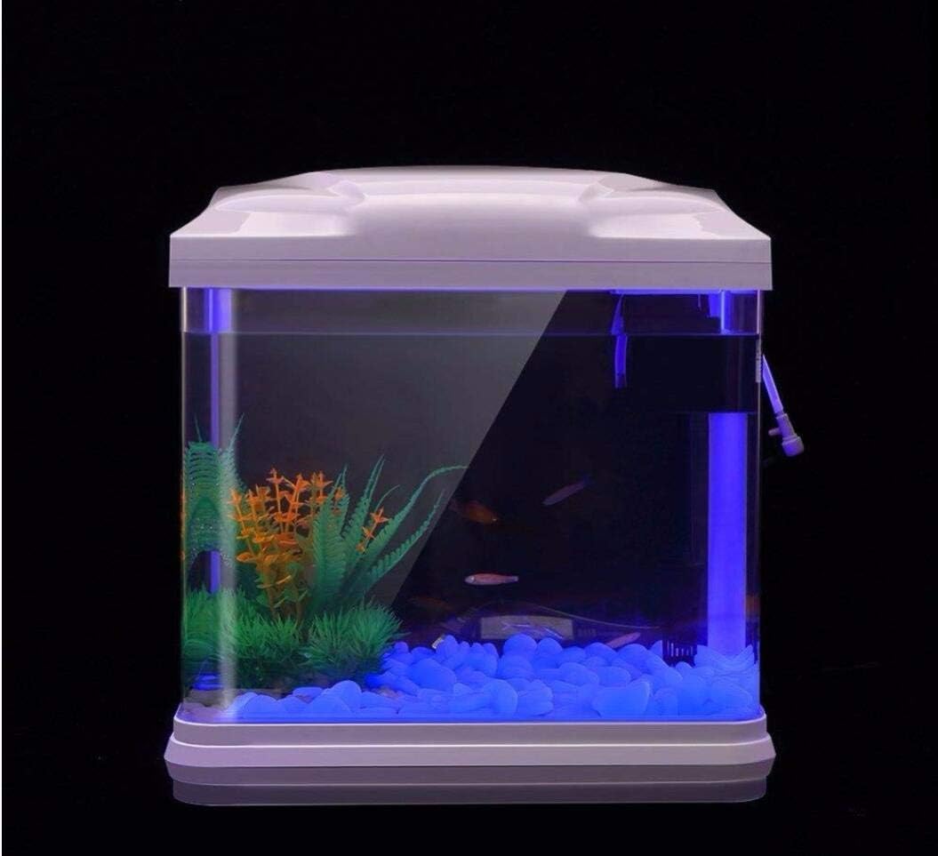 Fish Tank Rocks Glow Blue Pebb – Bonsai Gardenia recenzja i cena