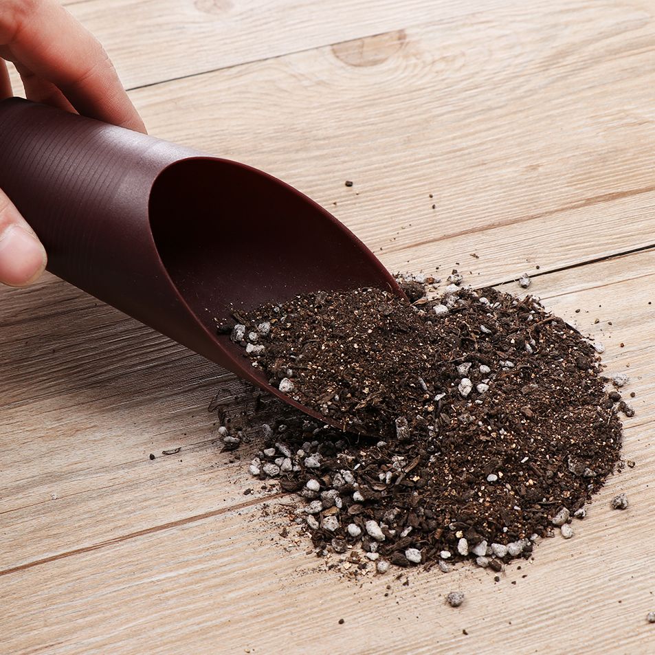Plastikowa łopatka do gleby, k – Bonsai Garden Pot recenzja i cena